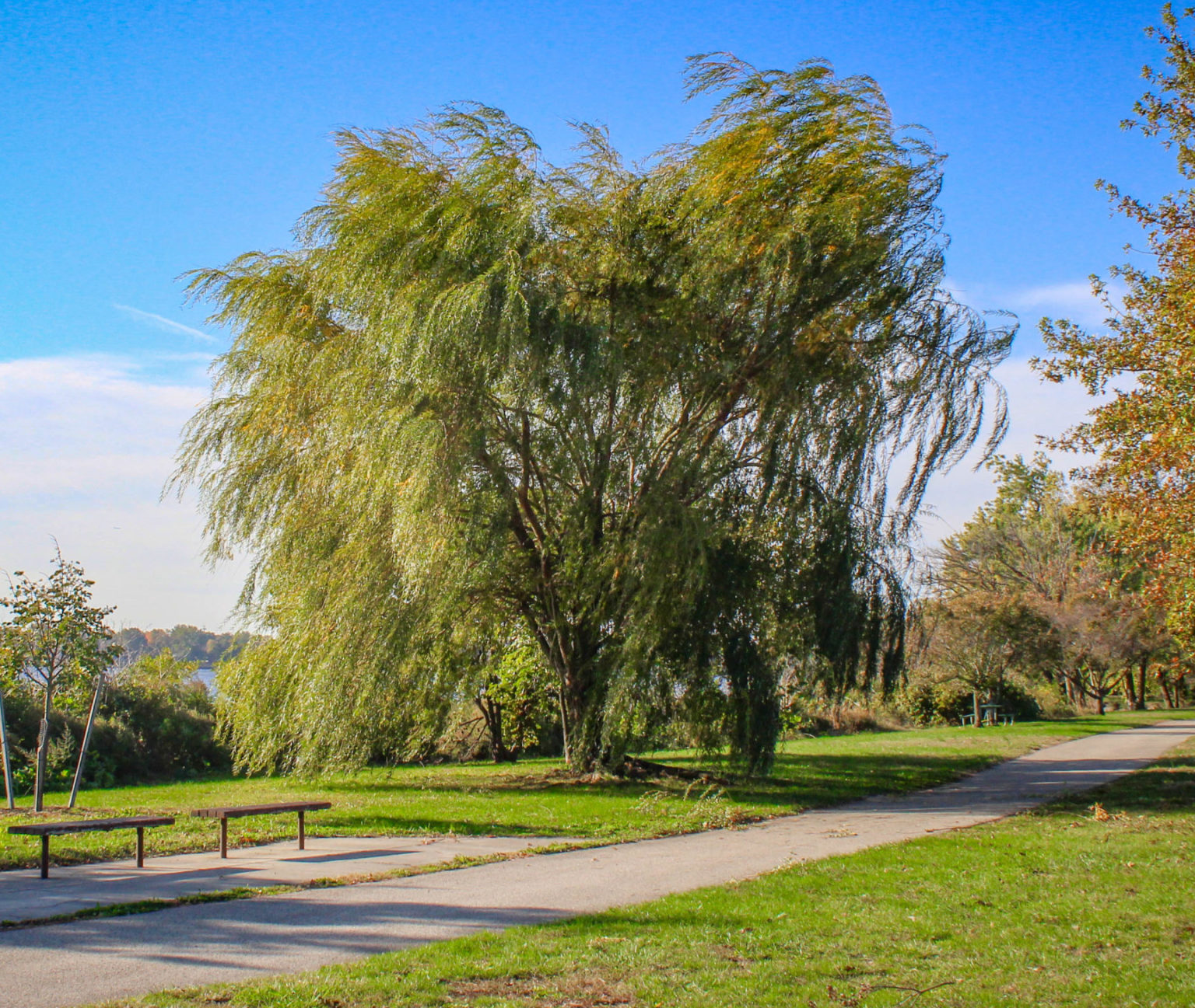 nature-activities-for-kids-riverfront-north-partnership